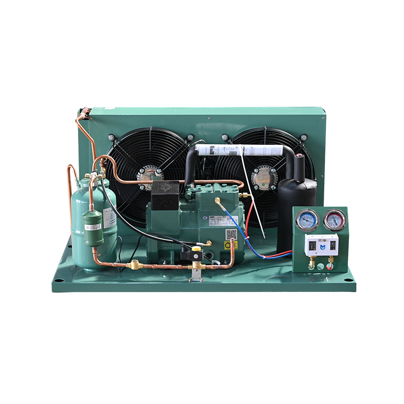 Unit Skru Bitzer